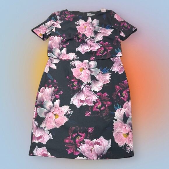 PHASE EIGHT Women’s 10 Black Pink Floral Dress - Picture 1 of 6